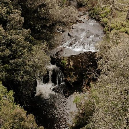 Casa De Campo Santa Paulina ウルペマ エクステリア 写真
